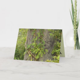 "4 nunca?" cartão de saudação BREAK-UP