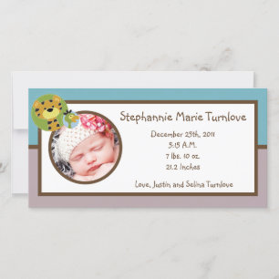 4 x 8 Foto Anúncio da Selva Tales Safari