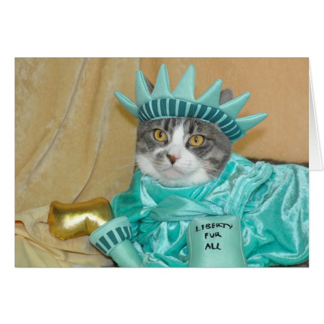 4o patriótico do cartão cinzento do gato de gato (Frente Horizontal)