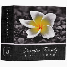 A foto de família da flor do Frangipani do