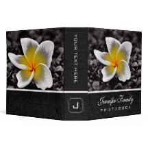 A foto de família da flor do Frangipani do