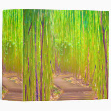 Um caminho de madeira através de uma densa florest