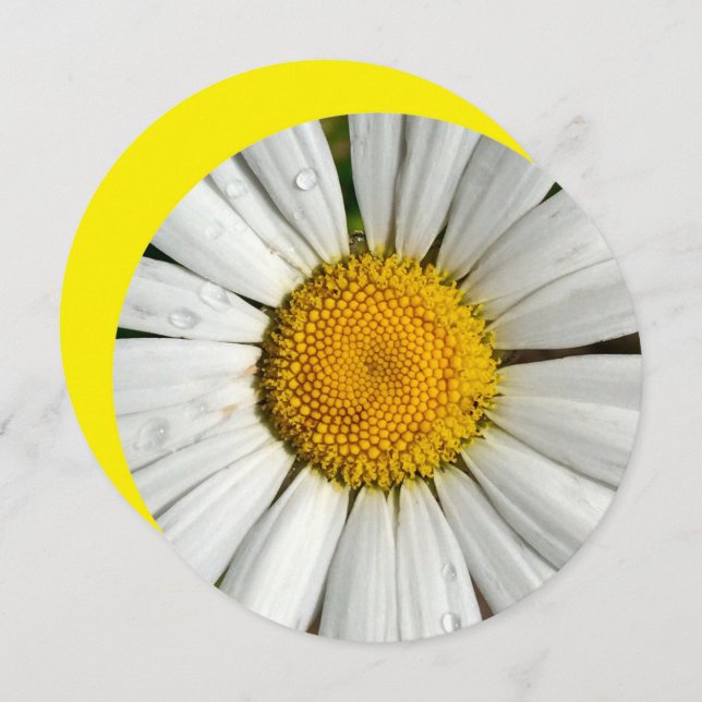 5,25 x 5,25 Círculo de Convite (Frente/Verso)