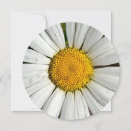 5,25 x 5,25 Círculo de Convite