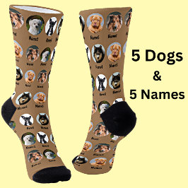 5 Cães, 5 Nomes, Foto Cão - Castanho Personalizado