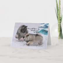 5 x 7 cartão de Natal do Keeshond de 2018 feriados