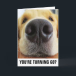 60º ANIVERSÁRIO CARTÕES DE GREETING DE CÃO ENGRAÇA<br><div class="desc">VOCÊ ESTÁ FAZENDO 60 ANOS? É RUFF. FELIZ ANIVERSÁRIO!</div>