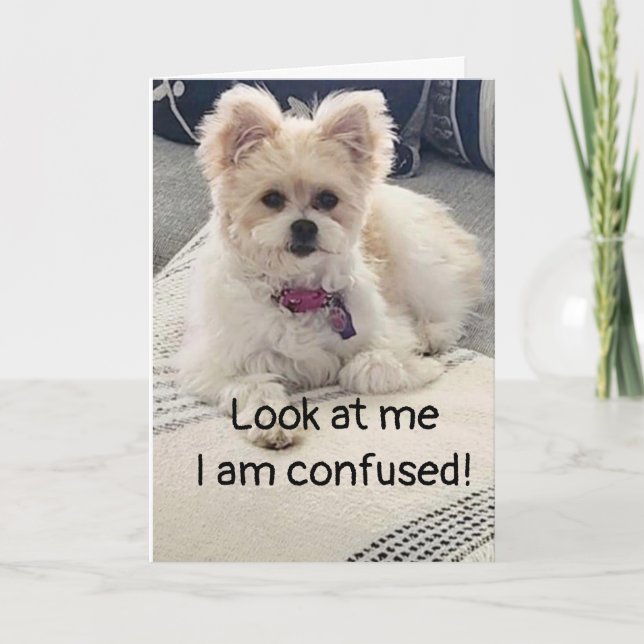 **60º ANIVERSÁRIO** TÃO CONFUSO! Cartão (Frente)