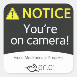 6 Autocolantes 3x3 Arlo