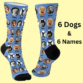 6 Cães, 6 Nomes, Foto Canina - Azul Personalizado