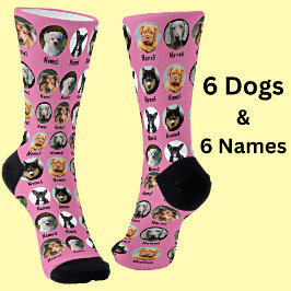 6 Cães, 6 Nomes, Foto Canina - Rosa Personalizado