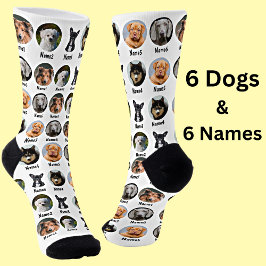 6 Cães, 6 Nomes, Foto Cão - Branco Personalizado