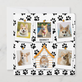 6 Colagem de Fotos Adicionar Nome Casa de Cachorro