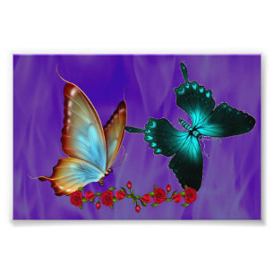 6" x 4", papel profissional da foto de Kodak