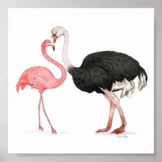 6x6 Pássaros de Amor Impressão