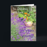 75th Cartão de aniversário para a avó - jardim<br><div class="desc">Um 75th cartão de aniversário para uma avó com lavanda e chagas,  de uma fotografia por Judy Adamson. Se você gostaria do texto dianteiro mudado,  contacte-me por favor através de minha loja e sinta-o livre editar ou suprimir do cumprimento interno você mesmo.</div>