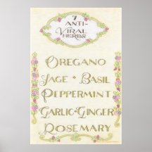 7 Poster de Ervas Anti-Virais