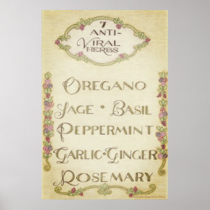 7 Poster de Ervas Anti-Virais (Vintage)