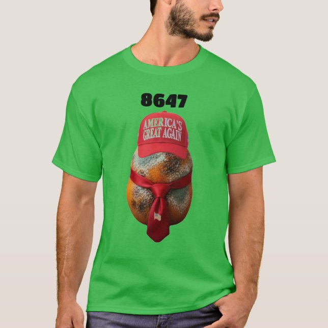 8647 Camiseta Básica (Frente)