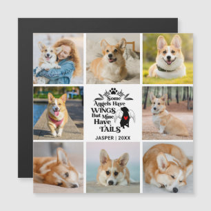 8 Cartão Magnético de Recordação de Perda de Colag