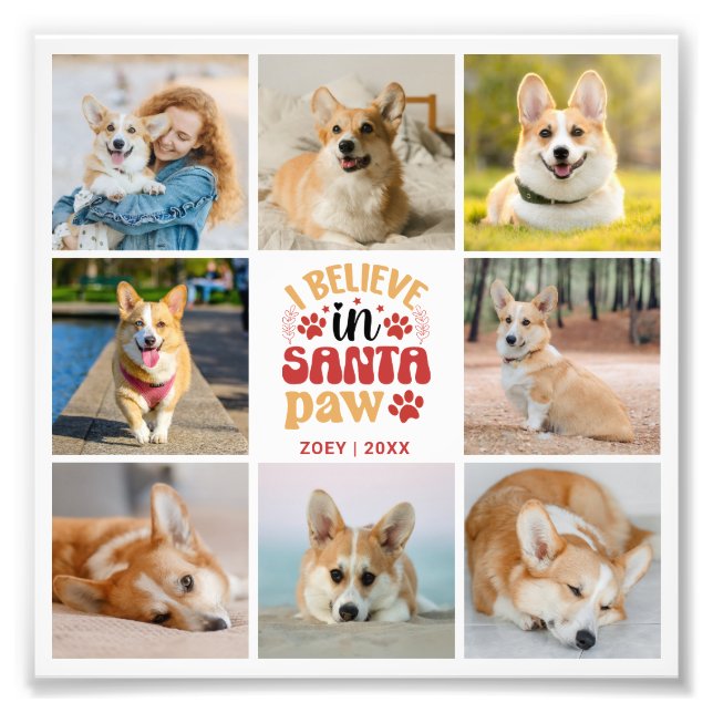 8 Colagem de Fotos Pet Santa Patas Ampliação de Fo (Frente)
