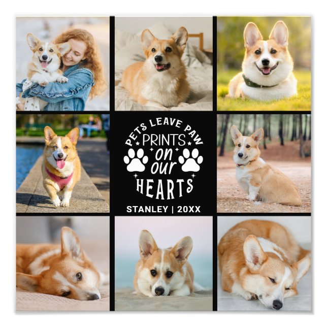 8 Foto Collage Pet Lembrance Foto Alargamento (Frente)