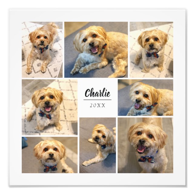 8 Impressão de Fotografia Personalizada Collage (Frente)