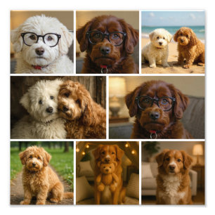 8 Modelo de colagem personalizado com foto