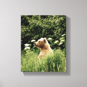 8x10 esticou o impressão das canvas com urso de