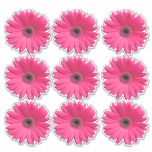 9 adesivos de corte de flor de Gerbera Daisy rosa