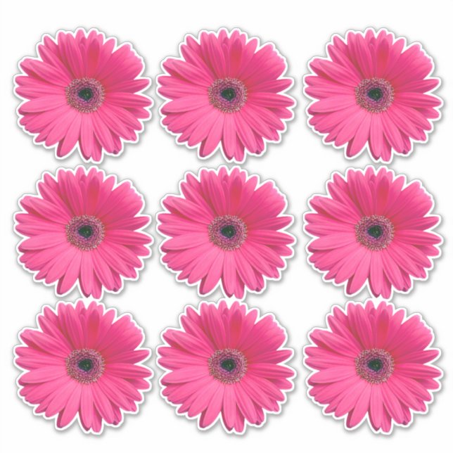 9 adesivos de corte de flor de Gerbera rosa (Frente)