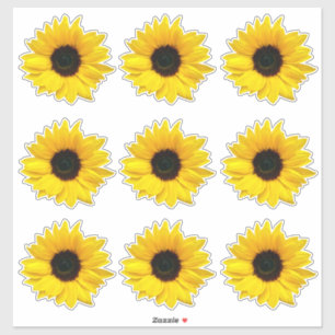 9 Adesivos Recortados de Girassol Amarelo Flor