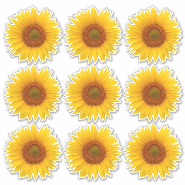 9 Adesivos Recortados de Girassol Laranja Amarelo (Frente)