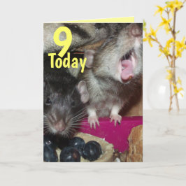 9 hoje, bebê ratos Cartões de aniversários card