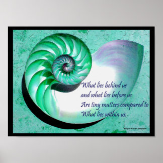 A01 Nautilus Shell Poster com cotação Inspiraciona