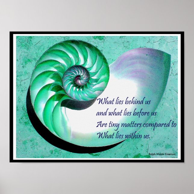 A01b Nautilus Shell Poster - Cotação Inspiracional (Frente)