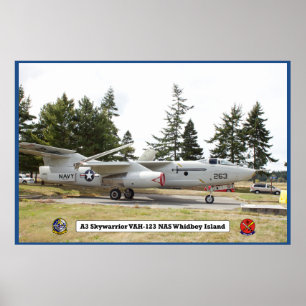 A3 Skywarrior VAH 123 Poster de aeronave