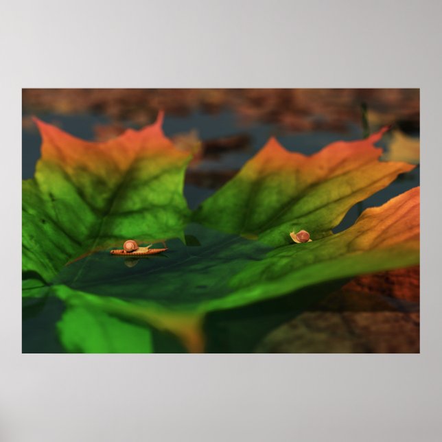 A Água É Grande Impressão (Frente)