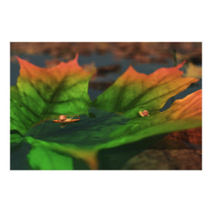 A Água É Um Grande Impressão De Fotos