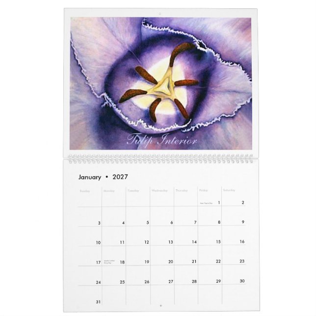 A aguarela 2011 floresce o calendário (Jan 2027)