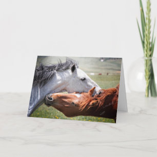 A alma de um cavalo! Cartão de saudação "Hug"