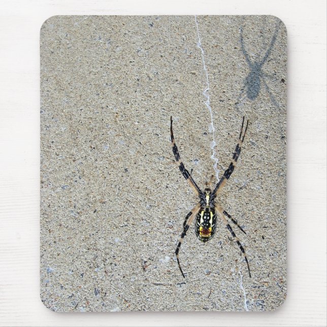A aranha da escrita vê que é sombra Mousepad (Frente)