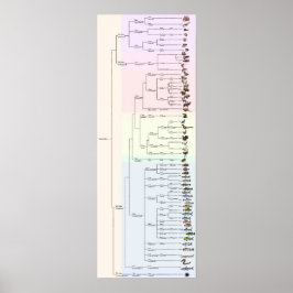 A Árvore do Yum: Animalia Impressão