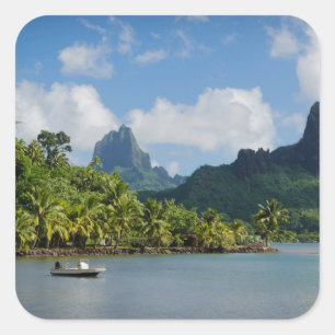 A baía do cozinheiro, etiqueta quadrada de Moorea