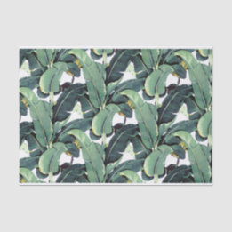 A banana sae palma do lenço de papel 10lb tropical