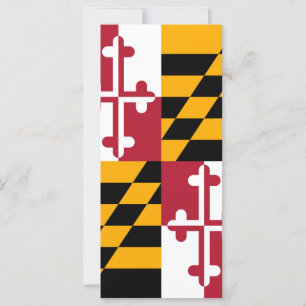 A bandeira do estado de Maryland colore a