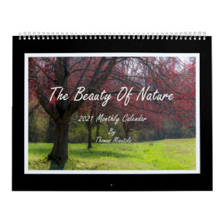 A Beleza Do Calendário 2021