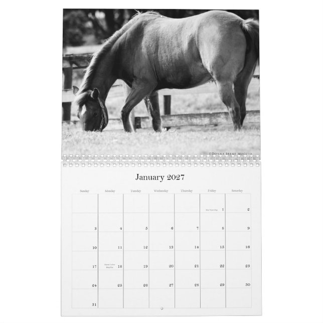 A beleza do calendário dos cavalos (Jan 2027)