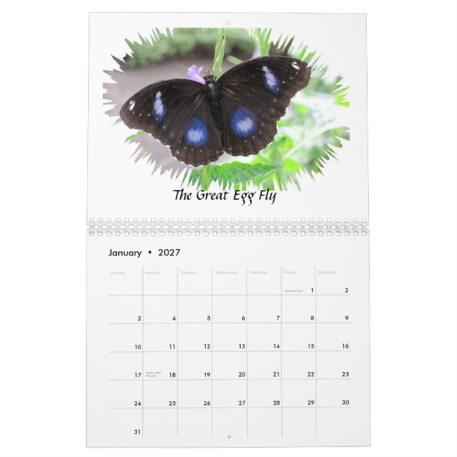 A borboleta fotografa o calendário 2012 (Jan 2027)