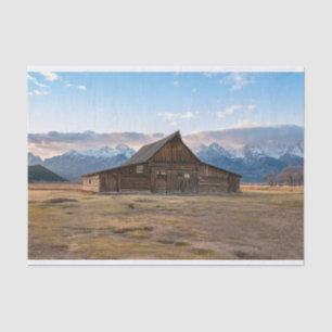 A cabine está tirando seu papel de tecido do chapé